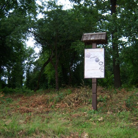 Maisiejūnų pilkapiai