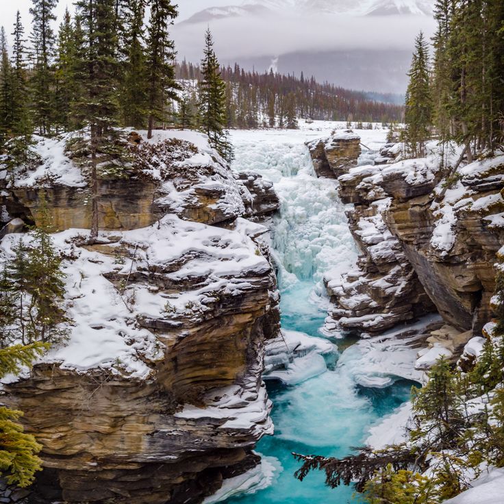 Athabasca Falls