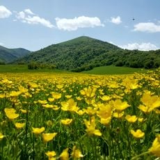 Dilijan National Park