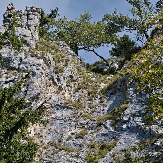 Naturwaldreservat Gaisberg