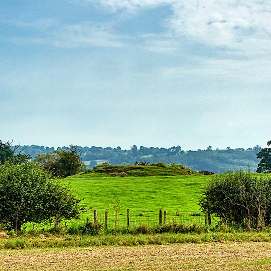 Camp Ring motte and bailey castle, enclosure, fishpond and ridge and furrow 400m east of Culmington Farm
