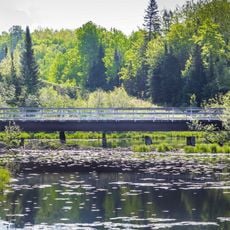 Chicagon Mine Road–Chicagon Creek Bridge
