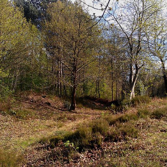 Faesten Dic, a medieval frontier work in Joydens Wood