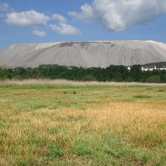Rohrlache von Heringen