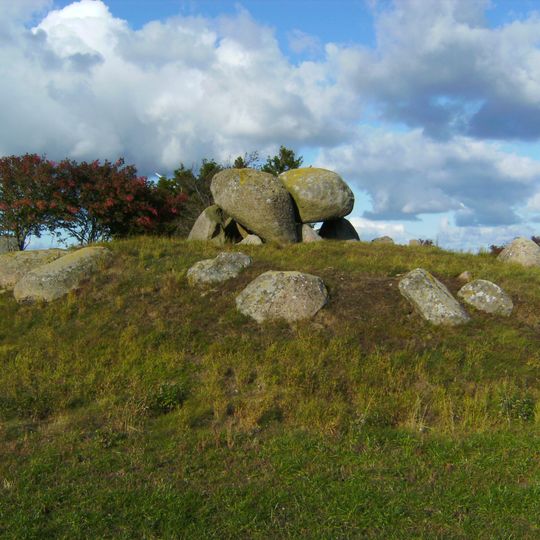 Langdysse von Laagerup