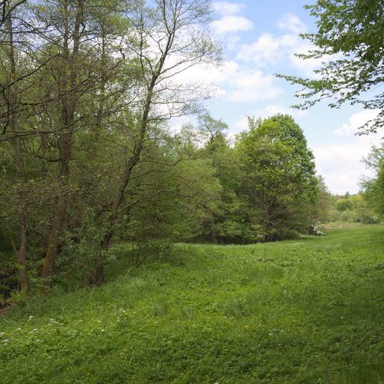 Talauen von Brenderwasser,Sengersbach,Wannbach- und Köpfelbachtal
