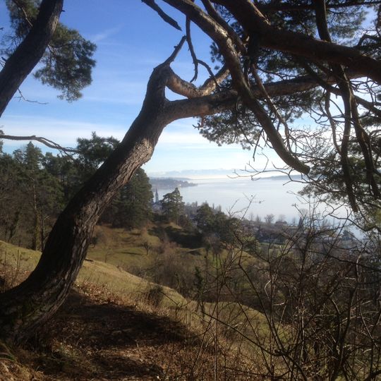 Überlinger See und Bodenseeuferlandschaft