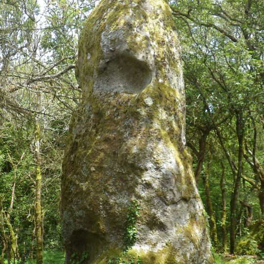 Menhir de Cosquer Ven