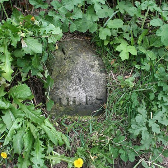 Milestone, 20m N of Oakford Lodge, Langford, N of Newbridge, 100m E of A377 jct