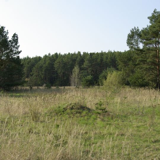Sandheiden im mittelfränkischen Becken