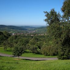 Rheinniederung Haltingen–Neuenburg mit Vorbergzone