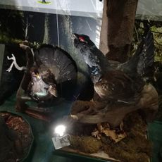 Ośrodek Edukacyjny Babiogórskiego Parku Narodowego