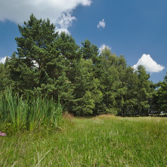 Skřípovský mokřad