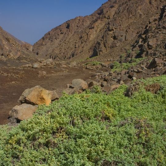 Reserva nacional La Chimba