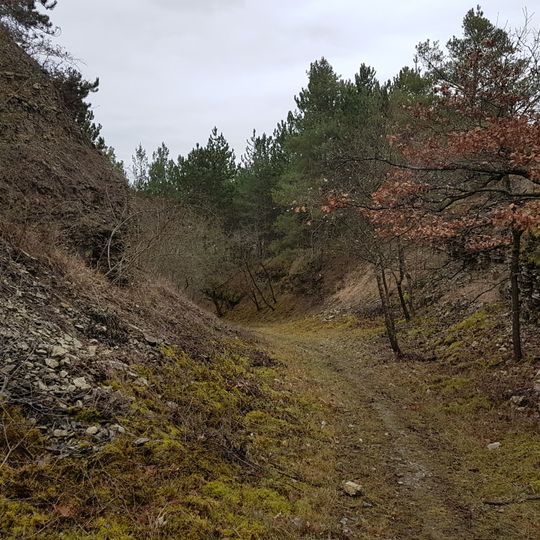 Naturdenkmal Hohlweg Altenberg Flürlein/Küh/Kniebreche/Berglein/Altenberg