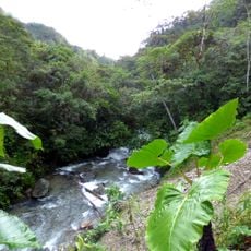 Parque nacional natural Tatamá