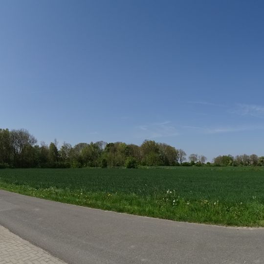 Deichzug Steindamm über Schnapp