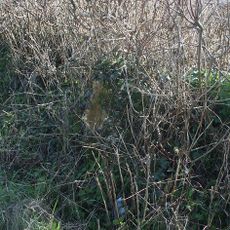 Milestone At Ngr St 3955 1229