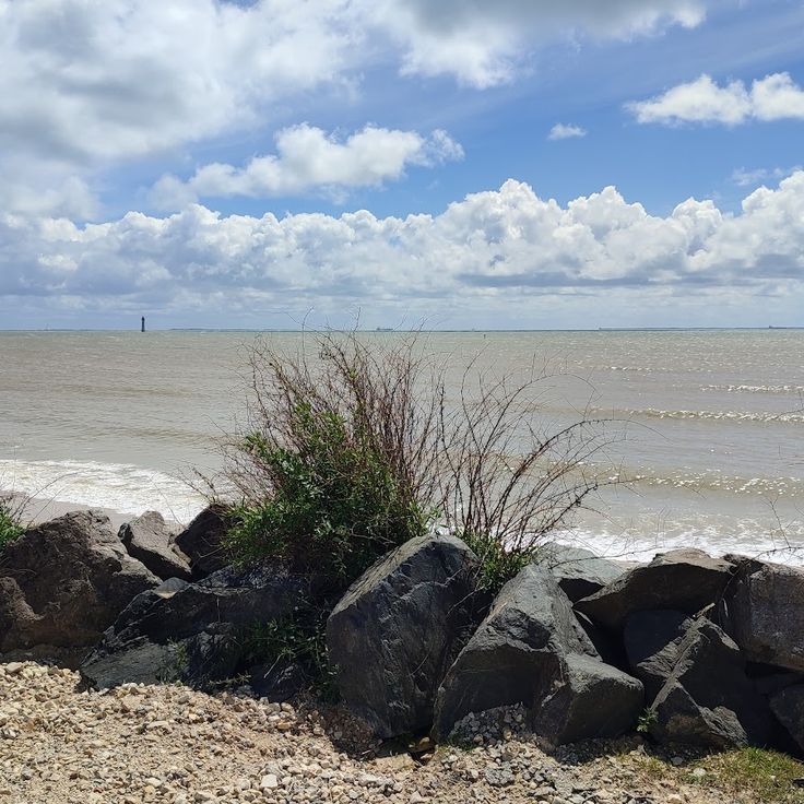 Strand Port Notre-Dame
