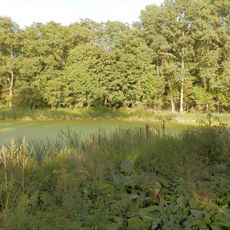 Park w Bierzwiennej Długiej, XIX/XX