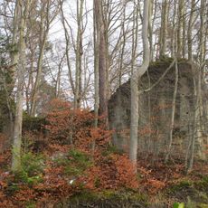 Neu-Bubenberg Castle