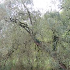 De Kiefskamp: historische tuin- en parkaanleg