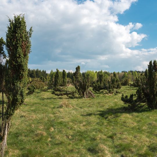 Wacholderheide Westernohe