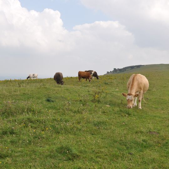 Three hlaews 400m north east of Overhill Lodge