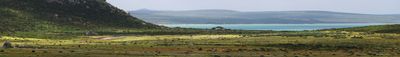 Panoramic View 2