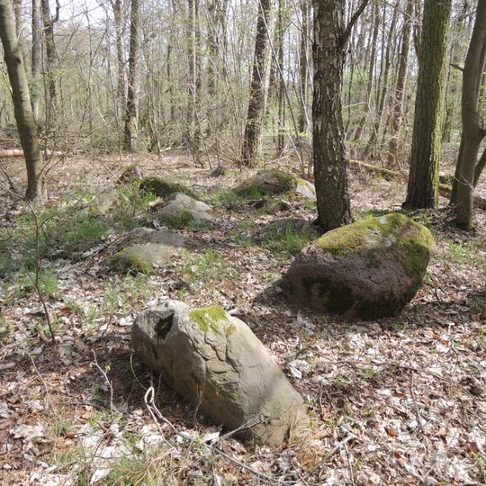 Großsteingrab ALV 35