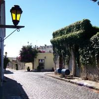 Departamento de Colonia