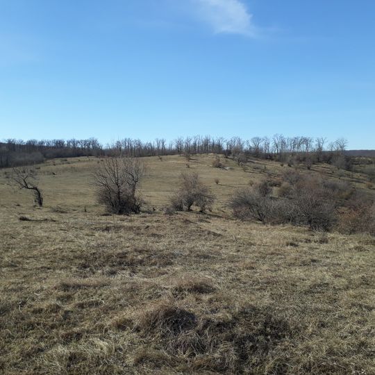 Așezare - Hansca-Toloacă