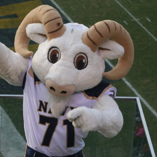 Bill the Goat