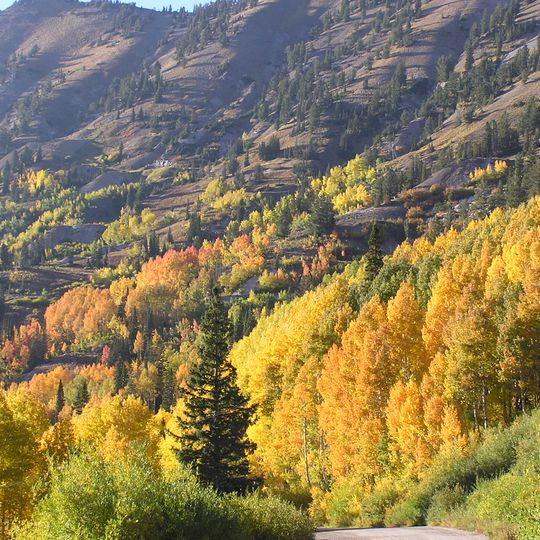 Little Cottonwood Canyon