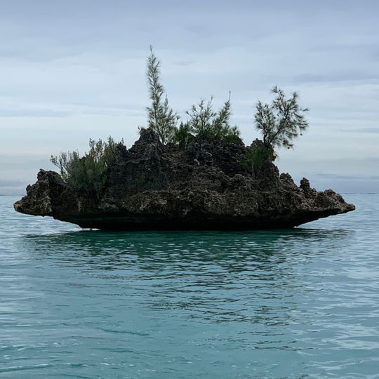 Le corail de cristal