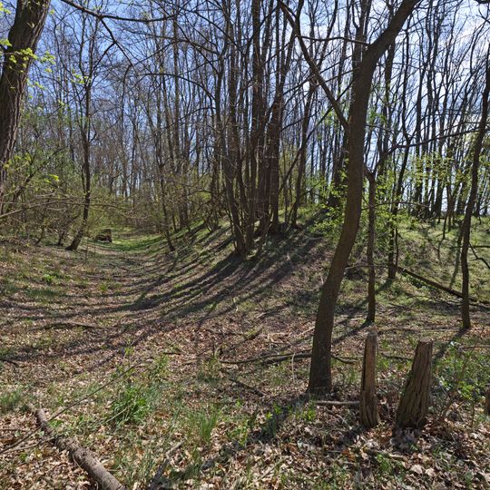 Teilbereich der Kuruzzenschanze in Zwerndorf
