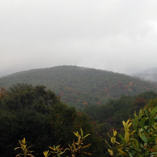 Laurel Fork South Wilderness