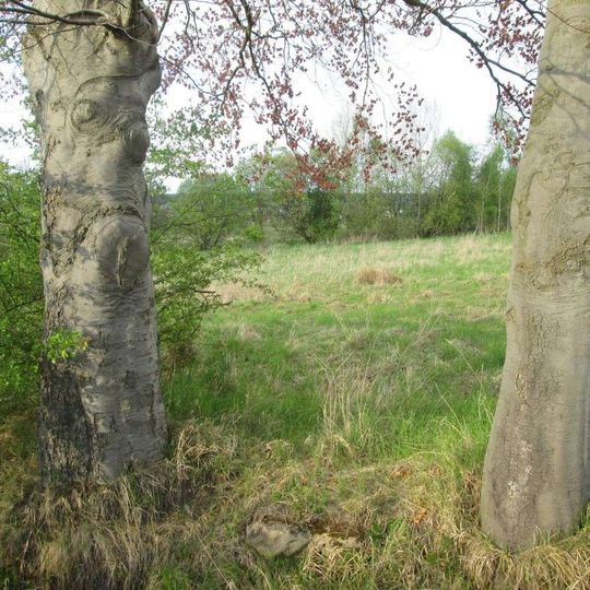 Kříž jižně od Letkova