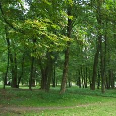 Manor park in Bażanówka