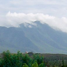 Parc national Cerro El Copey