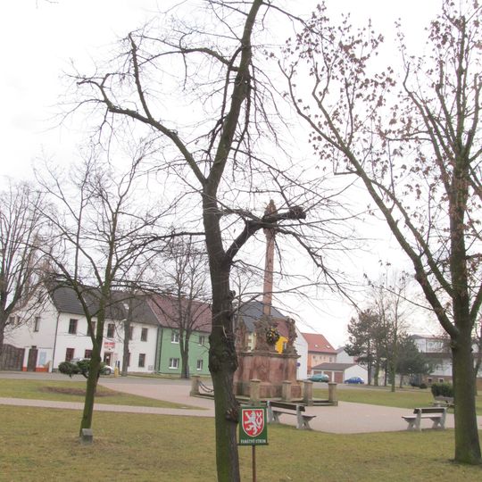 Lípa Doc. Antonína Pyška