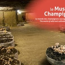 Musée du Champignon