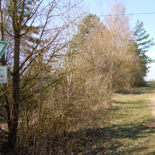 Nördlicher Teil des Kühlenberges