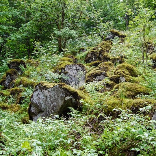 Blockfelder am Taufstein
