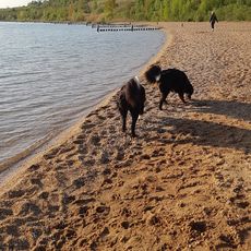 Hundestrand