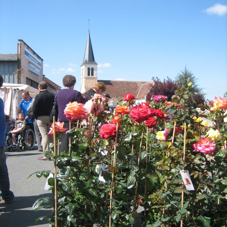 Mers-sur-Indre