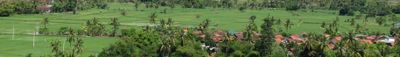 Panoramic View 0