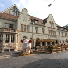 Schweinemuseum