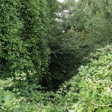 Schilfsandstein-Steinbruch "Unterer Hohberg"