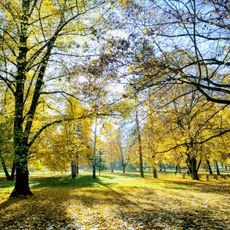 Südpark